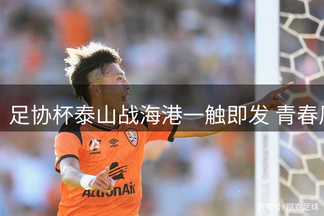 足协杯泰山战海港一触即发 青春风暴对决老将巅峰