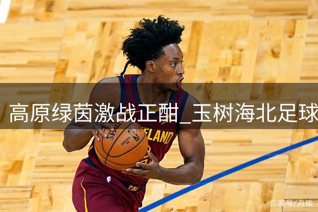 高原绿茵激战正酣 玉树海北足球争锋难分高下