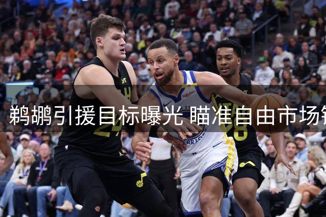 鹈鹕引援目标曝光 瞄准自由市场锋线补强