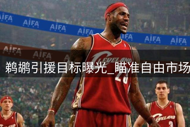 鹈鹕引援目标曝光 瞄准自由市场锋线补强